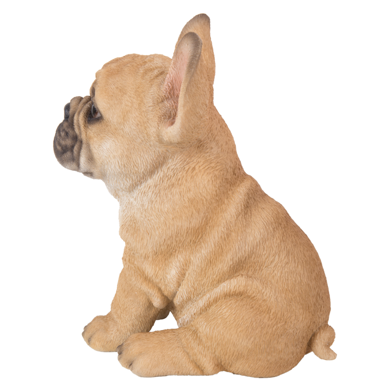 お座りフレンチ・ブルドッグ | 業者様向け・WooBia仕入れサイト